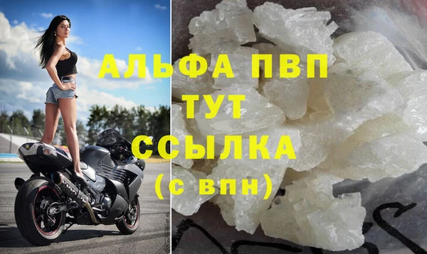 spice Белокуриха