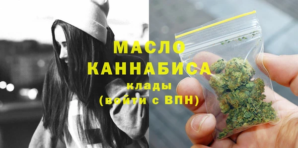 индика Семилуки